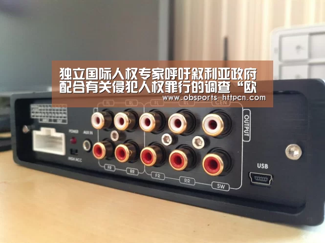 独立国际人权专家呼吁叙利亚政府配合有关侵犯人权罪行的调查“欧宝app”(图2) OB棋牌