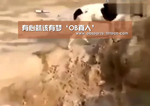 有心就该有梦‘OB真人’