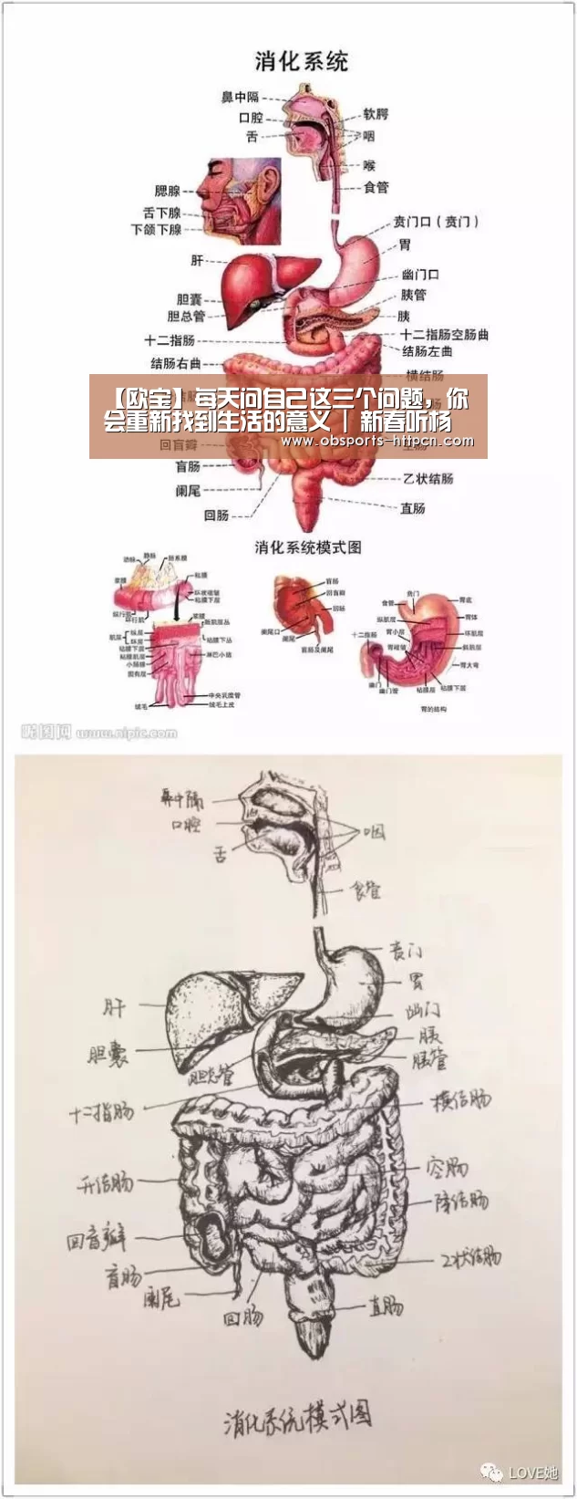 【欧宝】每天问自己这三个问题,你会重新找到生活的意义 | 新春听杨澜为你(图4) OB真人